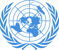 In antwoord op de uitnodiging van de Verenigde Naties zal onze organisatie